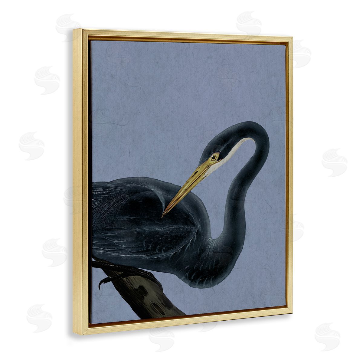 Grace Popp Bayou Heron Bird Canvas Wall Art Print