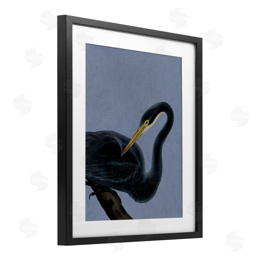 Grace Popp | Bayou Heron Bird