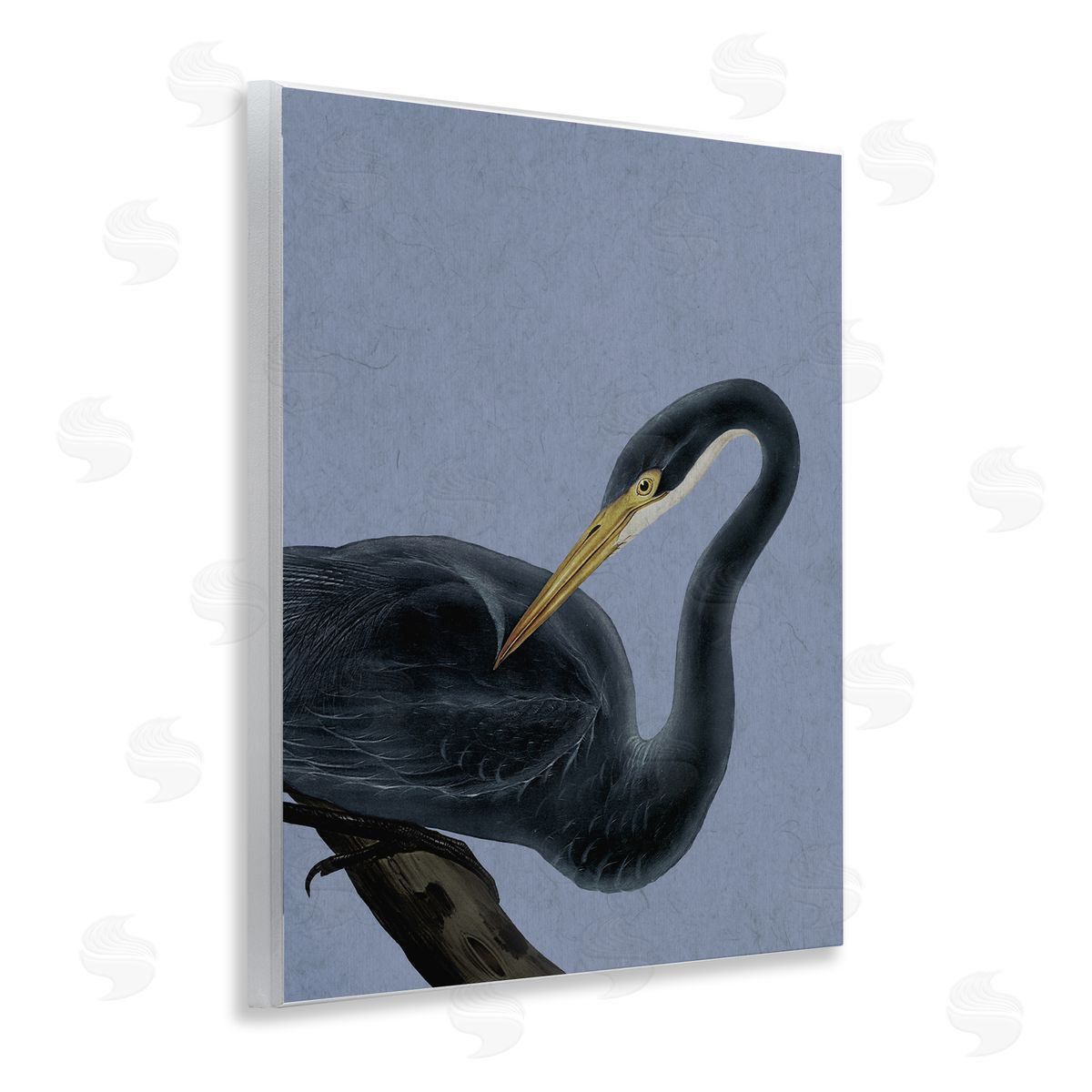 Grace Popp Bayou Heron Bird Canvas Wall Art Print