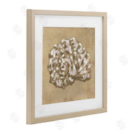 June Erica Vess | Earthy Tone Seashell