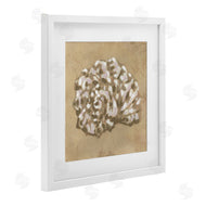 June Erica Vess | Earthy Tone Seashell