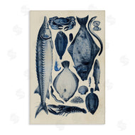 Alicia Longley | Scientific Marine Life Chart