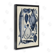 Alicia Longley | Scientific Marine Life Chart