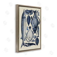 Alicia Longley | Scientific Marine Life Chart