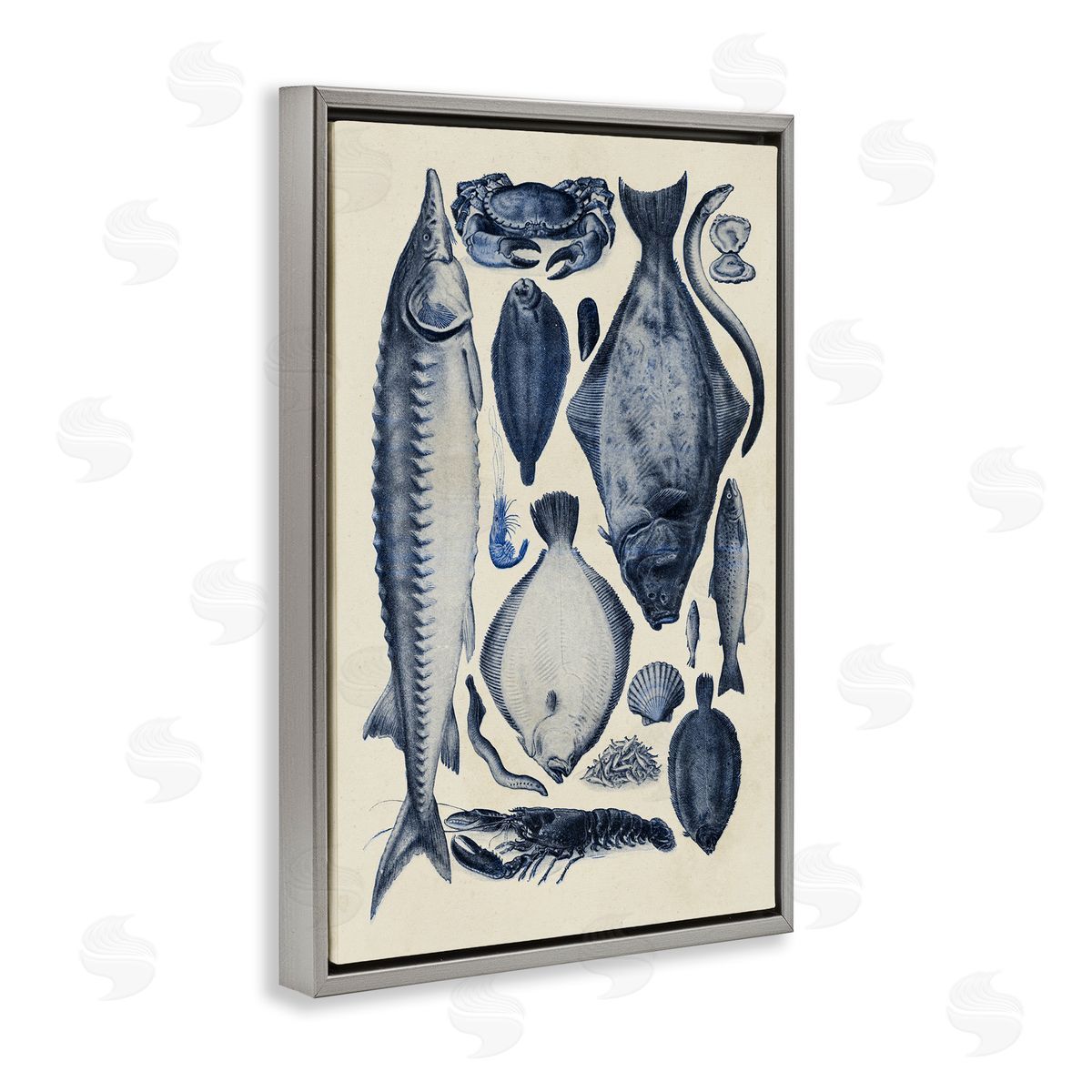 Alicia Longley Scientific Marine Life Chart Canvas Wall Art Print
