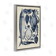 Alicia Longley | Scientific Marine Life Chart