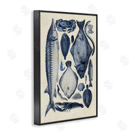 Alicia Longley | Scientific Marine Life Chart