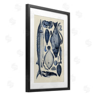 Alicia Longley | Scientific Marine Life Chart