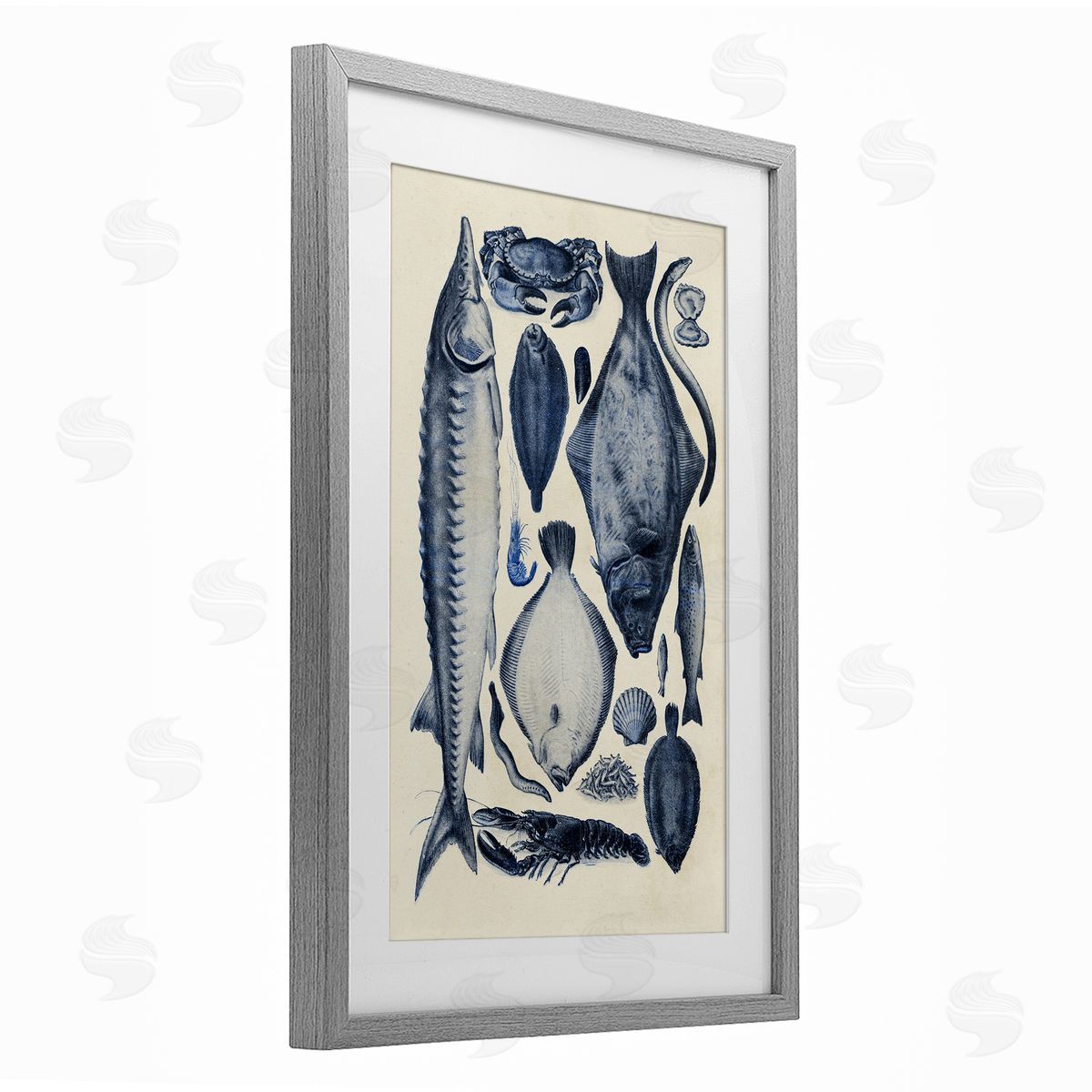 Alicia Longley Scientific Marine Life Chart Canvas Wall Art Print