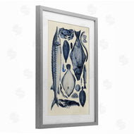 Alicia Longley | Scientific Marine Life Chart