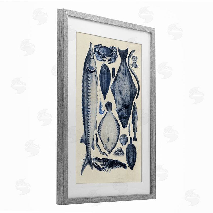 Alicia Longley | Scientific Marine Life Chart