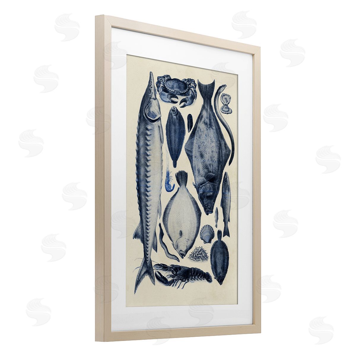 Alicia Longley Scientific Marine Life Chart Canvas Wall Art Print