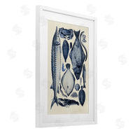 Alicia Longley | Scientific Marine Life Chart