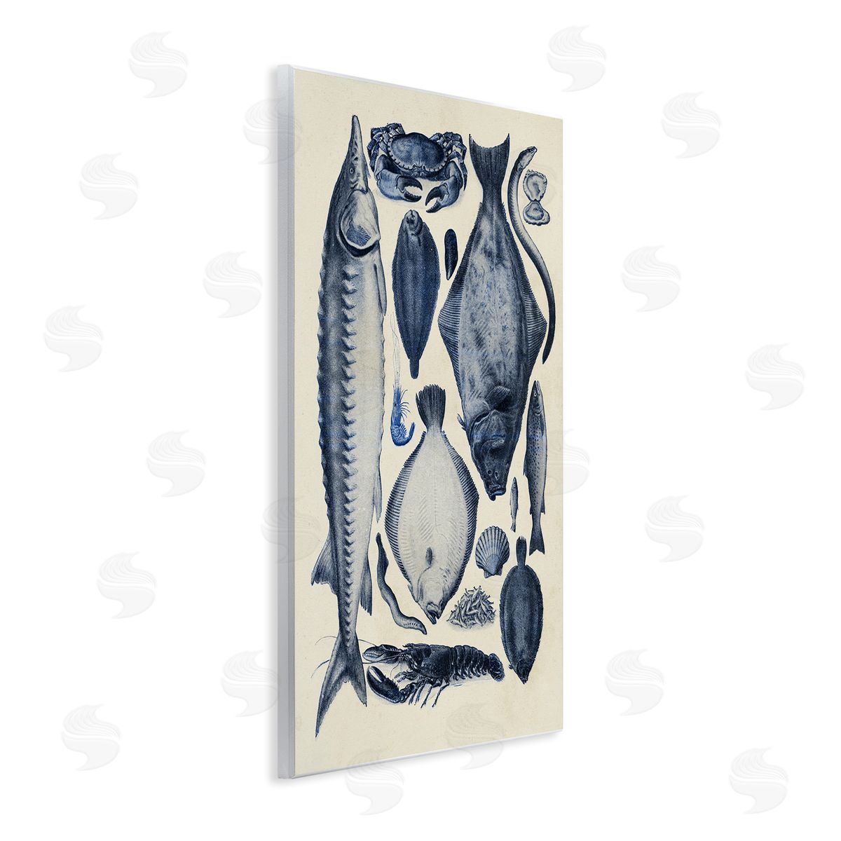 Alicia Longley Scientific Marine Life Chart Canvas Wall Art Print