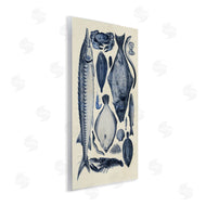 Alicia Longley | Scientific Marine Life Chart