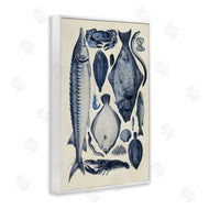 Alicia Longley | Scientific Marine Life Chart