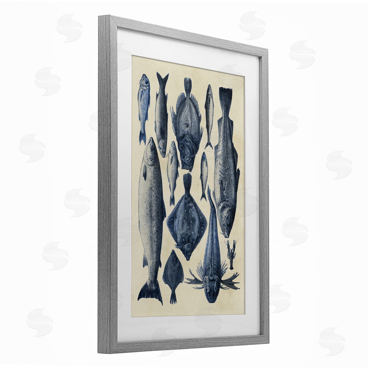 Alicia Longley Traditional Blue Fish Chart Canvas Wall Art Print