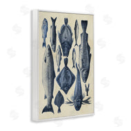 Alicia Longley | Traditional Blue Fish Chart