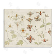 Julie de Graag | Nature Botanical Study