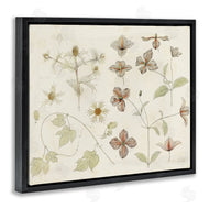 Julie de Graag | Nature Botanical Study