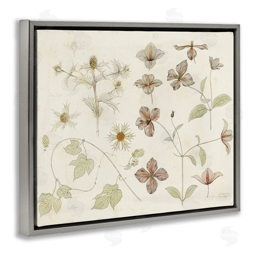 Julie de Graag | Nature Botanical Study