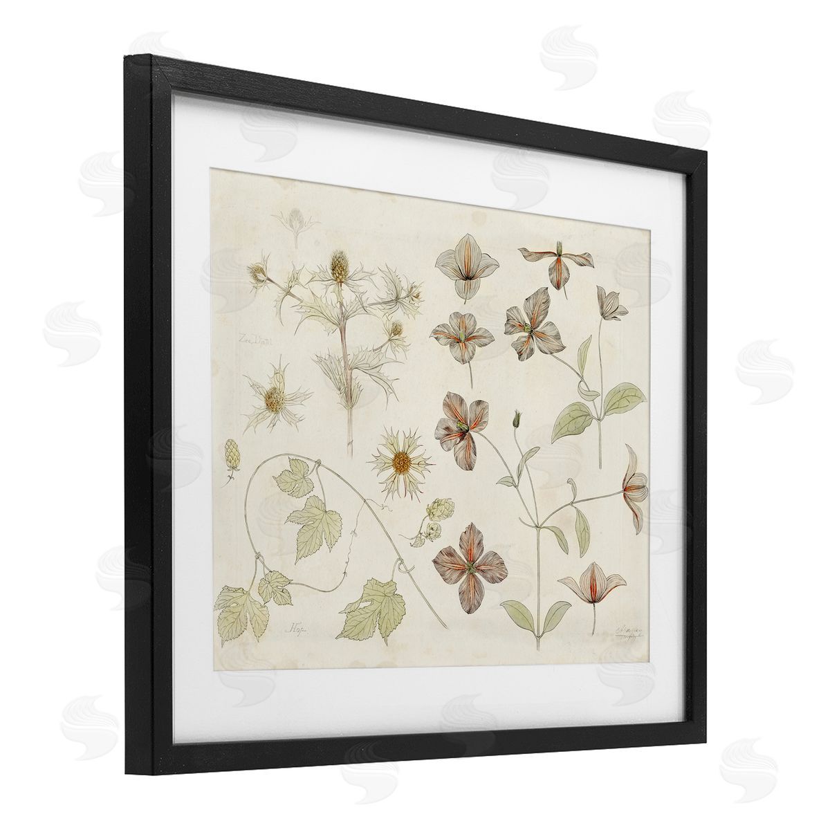 Julie de Graag Nature Botanical Study Canvas Wall Art Print