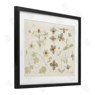 Julie de Graag | Nature Botanical Study