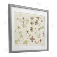 Julie de Graag | Nature Botanical Study