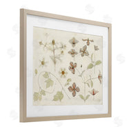 Julie de Graag | Nature Botanical Study