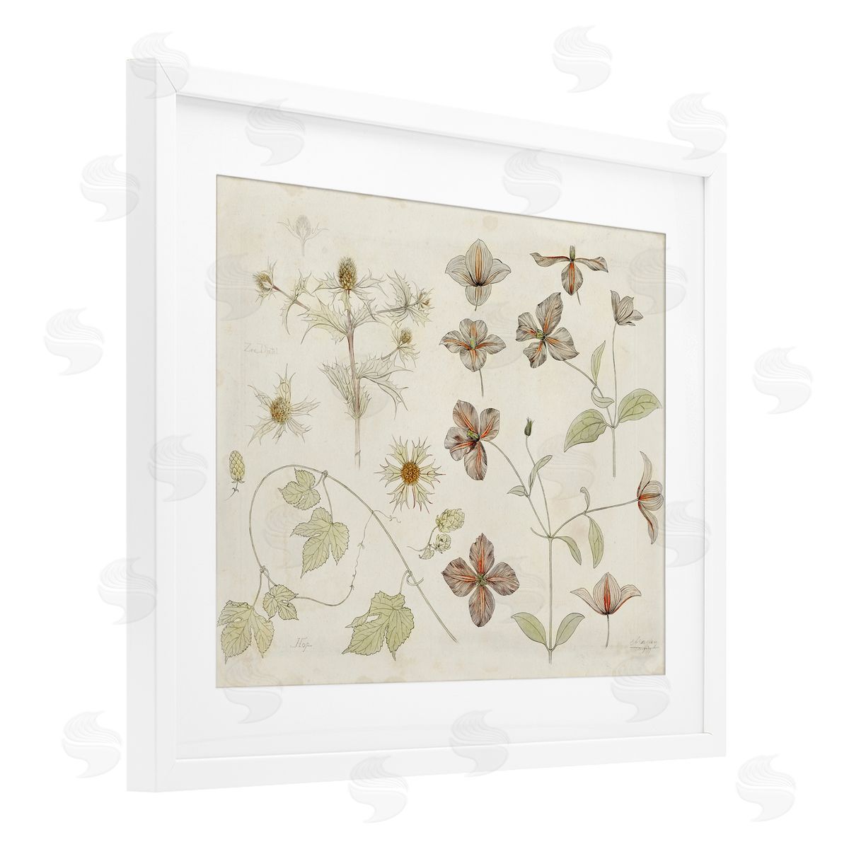 Julie de Graag Nature Botanical Study Canvas Wall Art Print