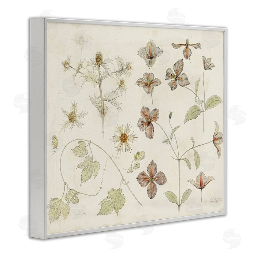 Julie de Graag | Nature Botanical Study