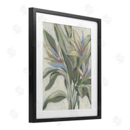 June Erica Vess | Pastel Paradise Plants