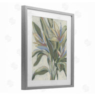 June Erica Vess | Pastel Paradise Plants