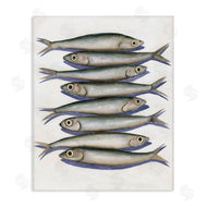 Michael Willett | Stacked Anchovy Fish