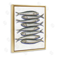 Michael Willett | Stacked Anchovy Fish