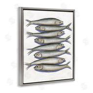Michael Willett | Stacked Anchovy Fish