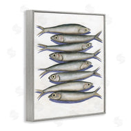 Michael Willett | Stacked Anchovy Fish