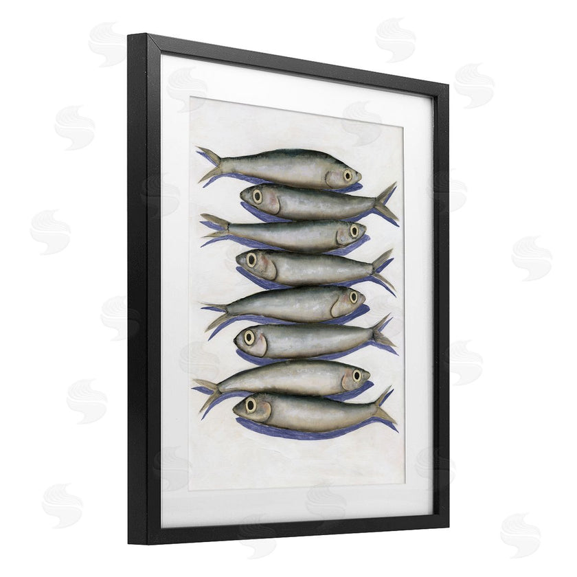 Michael Willett | Stacked Anchovy Fish