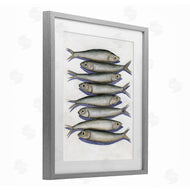 Michael Willett | Stacked Anchovy Fish