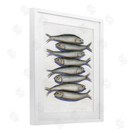 Michael Willett | Stacked Anchovy Fish