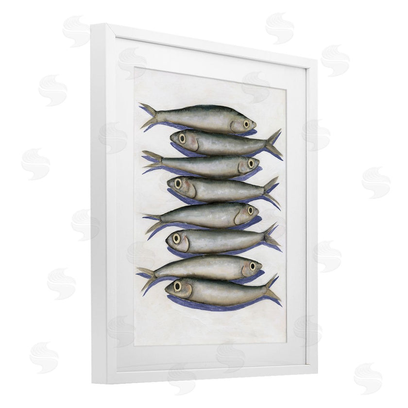 Michael Willett | Stacked Anchovy Fish