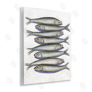 Michael Willett | Stacked Anchovy Fish