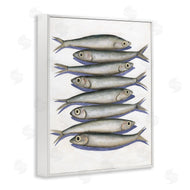 Michael Willett | Stacked Anchovy Fish