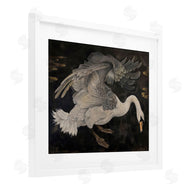 Jose Perez | Dark Swan Vintage