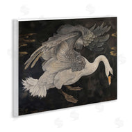 Jose Perez | Dark Swan Vintage