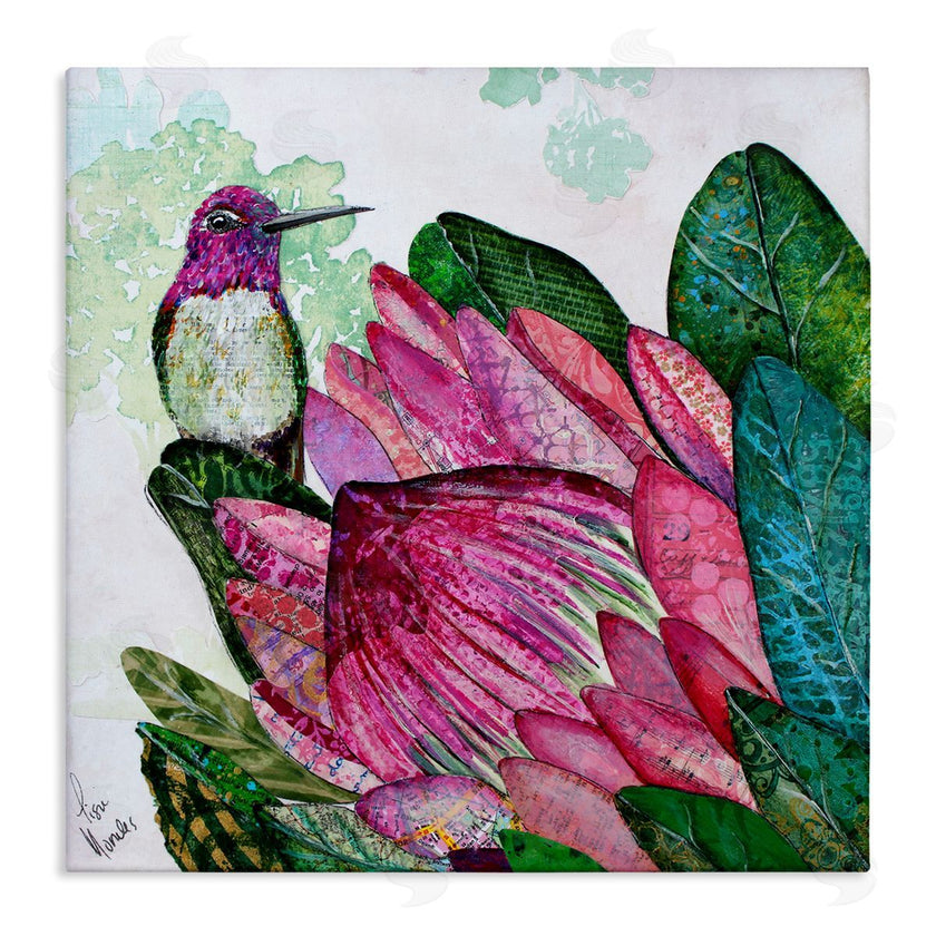 Lisa Morales | Hummingbird And Protea