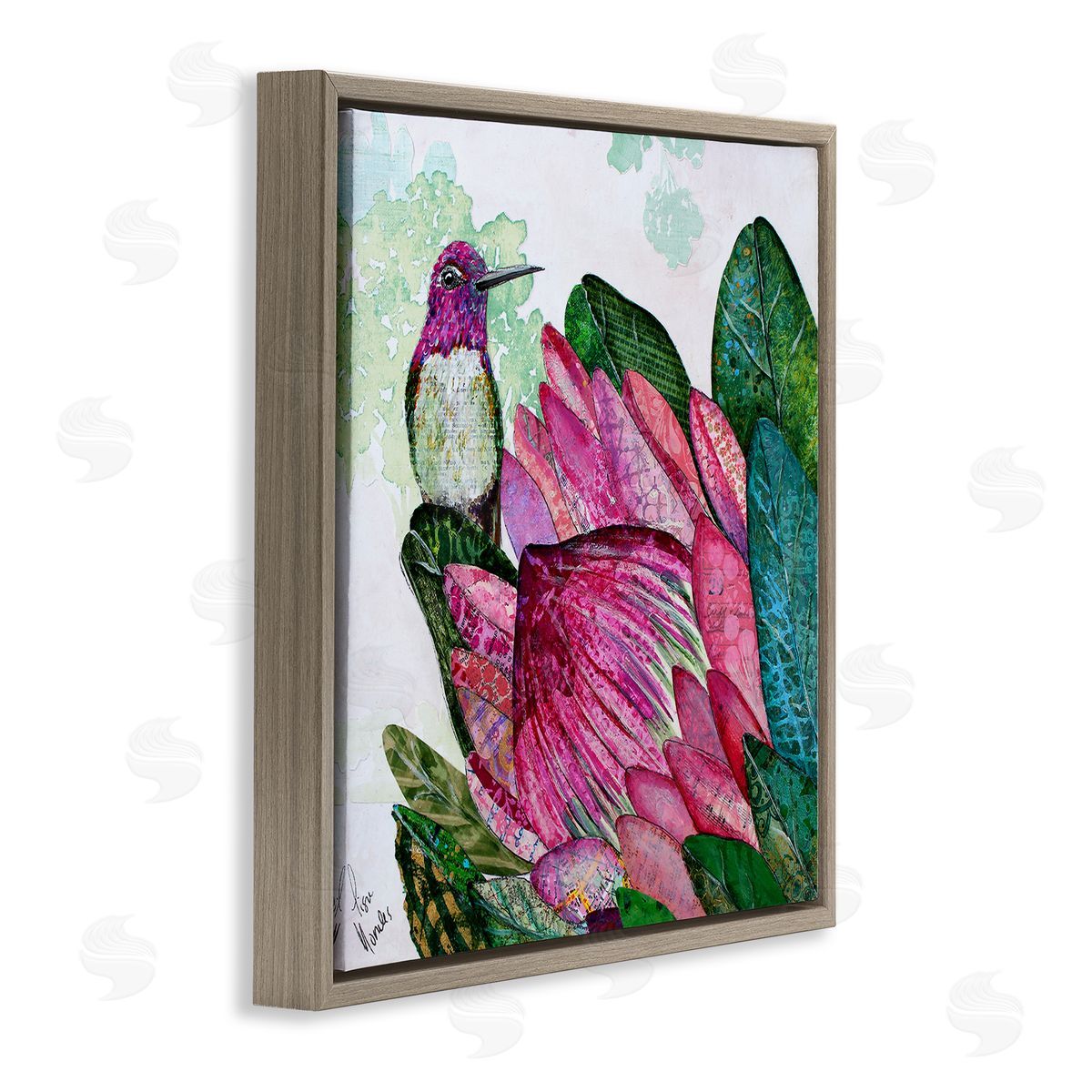 Lisa Morales Hummingbird And Protea Canvas Wall Art Print