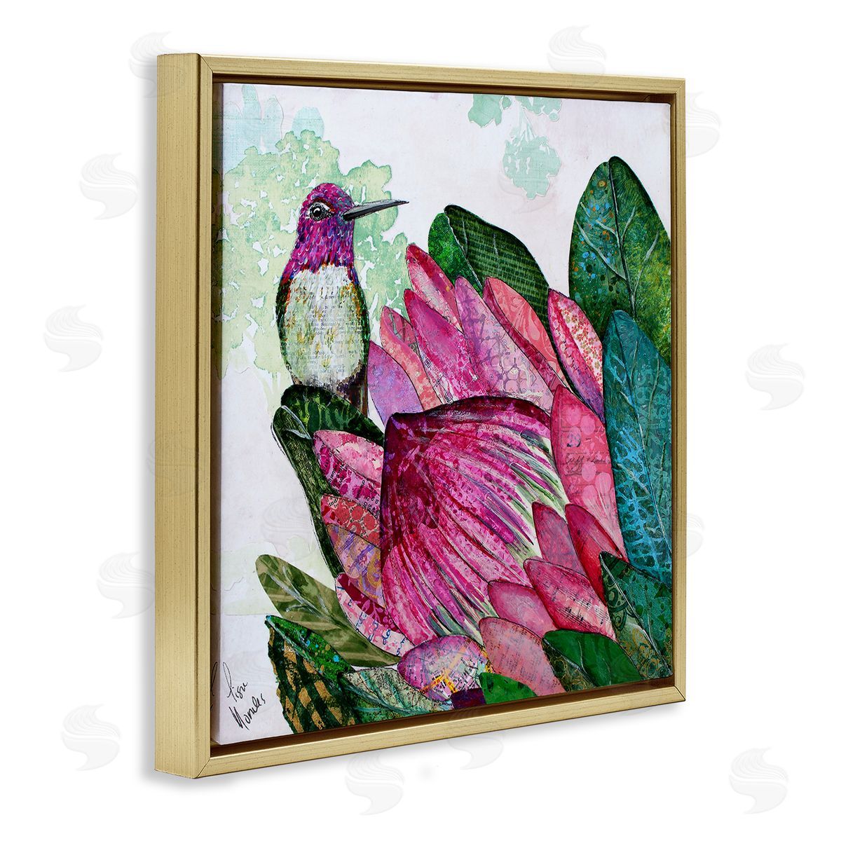 Lisa Morales Hummingbird And Protea Canvas Wall Art Print