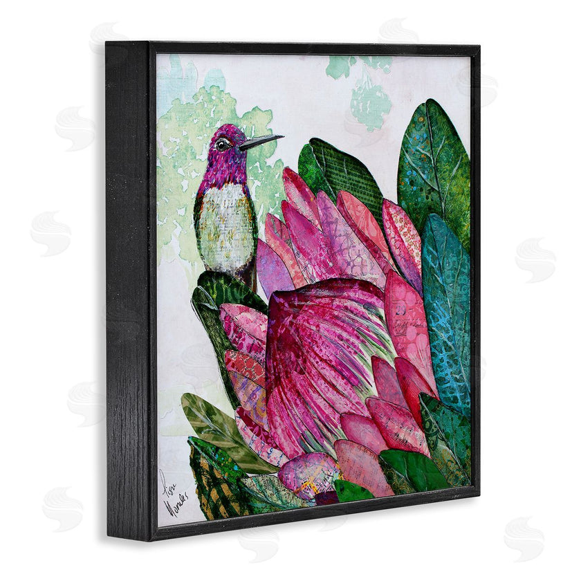 Lisa Morales | Hummingbird And Protea