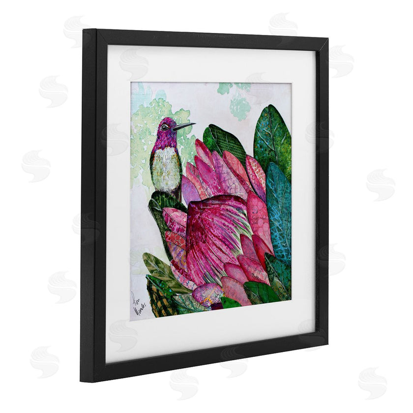 Lisa Morales | Hummingbird And Protea